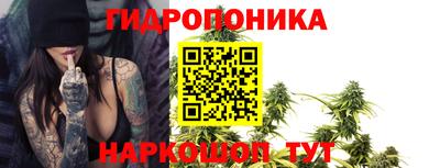 мдпв Боровичи