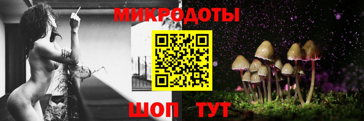 Павлово  Псилоцибиновые грибы GOLDEN TEACHER  Вход с VPN 